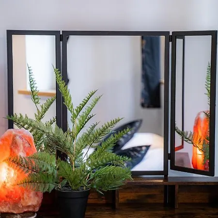 Goscinne Auroom Złoty Stok