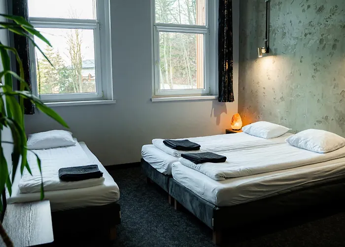 Bed & Breakfast Goscinne Auroom